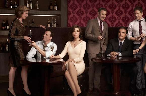 The Good Wife TV Show
