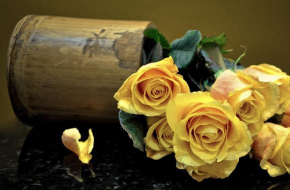 Yellow Roses wallpapers hd quality