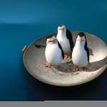 Penguins Of Madagascar 1080p