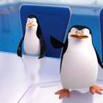 Penguins Of Madagascar download