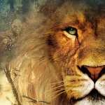 The Chronicles Of Narnia The Lion, The Witch And The Wardrobe PC wallpapers