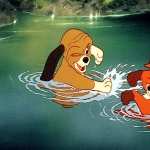 The Fox And The Hound photo