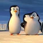 Penguins Of Madagascar new wallpapers