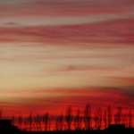 Red Sunset 1080p