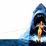 Jaws high definition photo