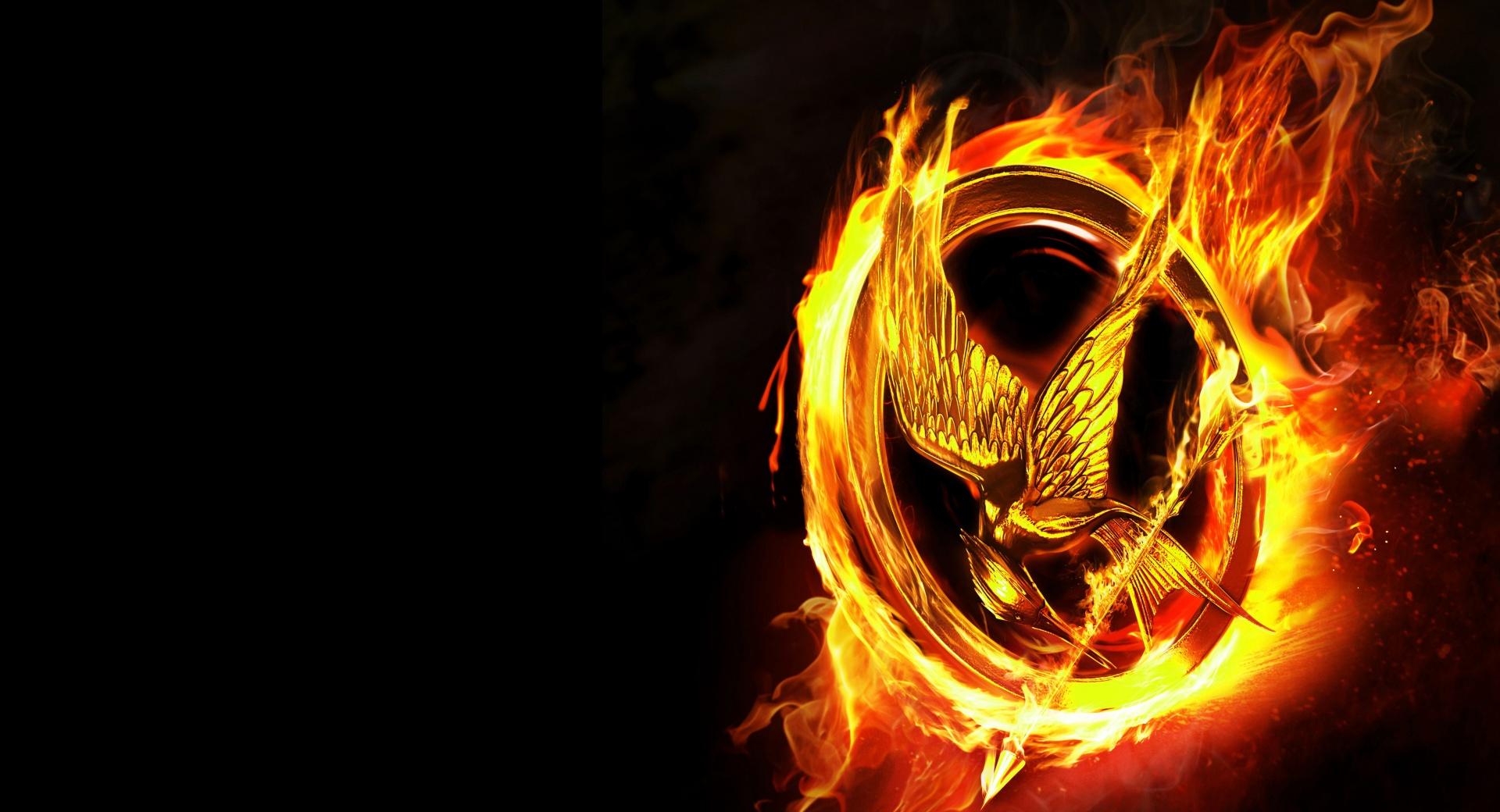 2012 The Hunger Games wallpapers HD quality