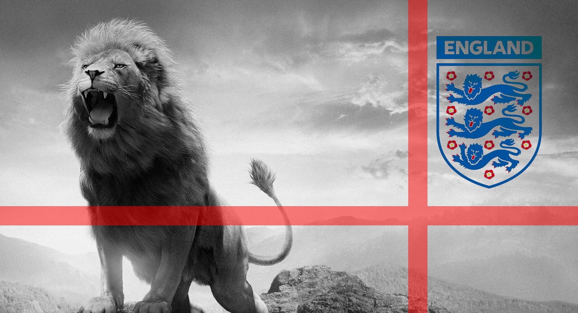 3 Lions Football at 2560 x 1440 HD size wallpapers HD quality