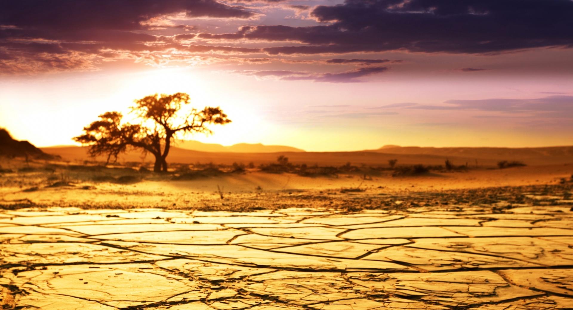 African Landscape at 320 x 480 iPhone size wallpapers HD quality