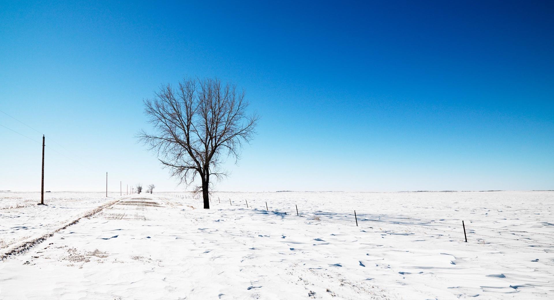 Alone In Snow at 750 x 1334 iPhone 6 size wallpapers HD quality