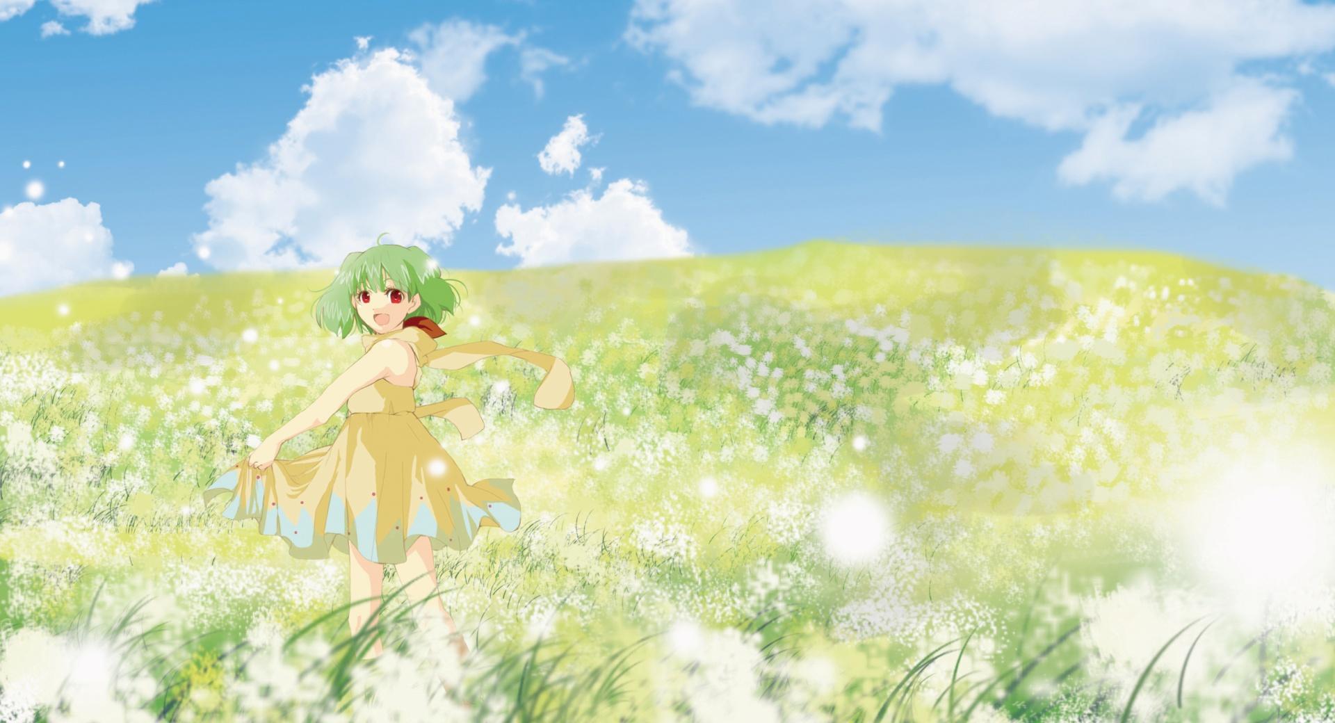 Anime Girl In Flower Field at 320 x 480 iPhone size wallpapers HD quality