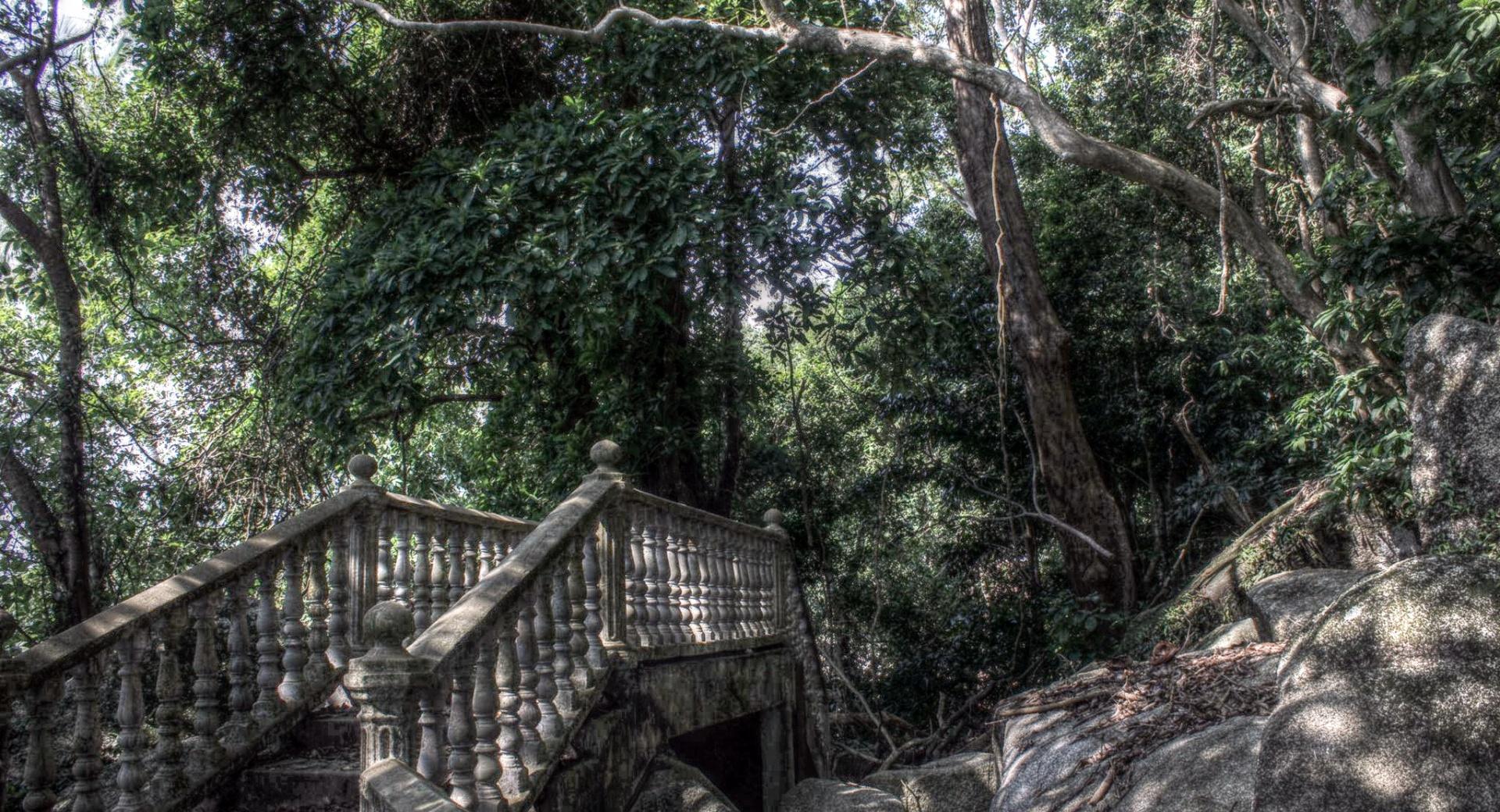 Bridge in a Forest HDR wallpapers HD quality