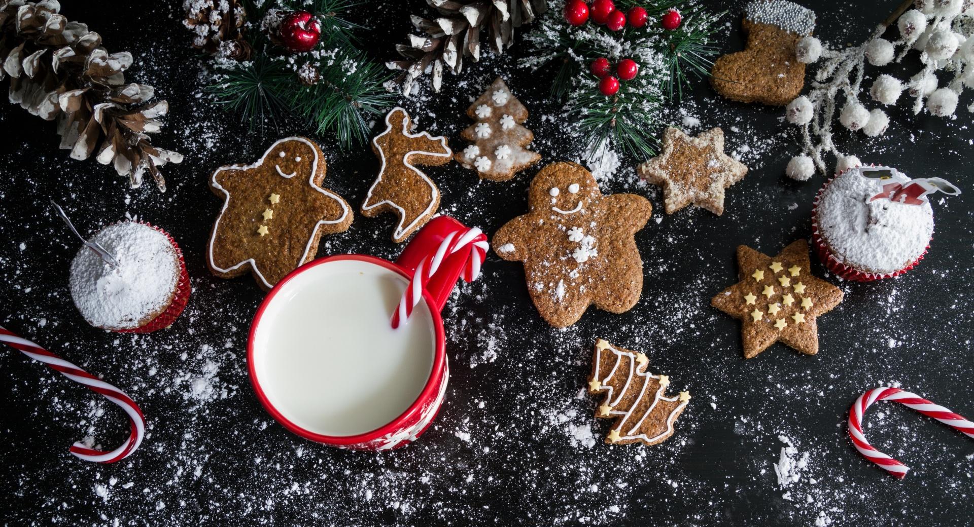 Christmas Gingerbread Cookies and Milk at 1024 x 1024 iPad size wallpapers HD quality