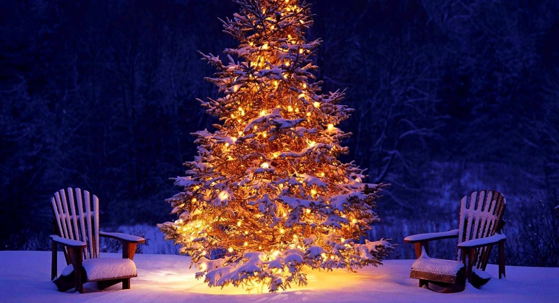 Christmas Outdoor Decorations at 320 x 480 iPhone size wallpapers HD quality
