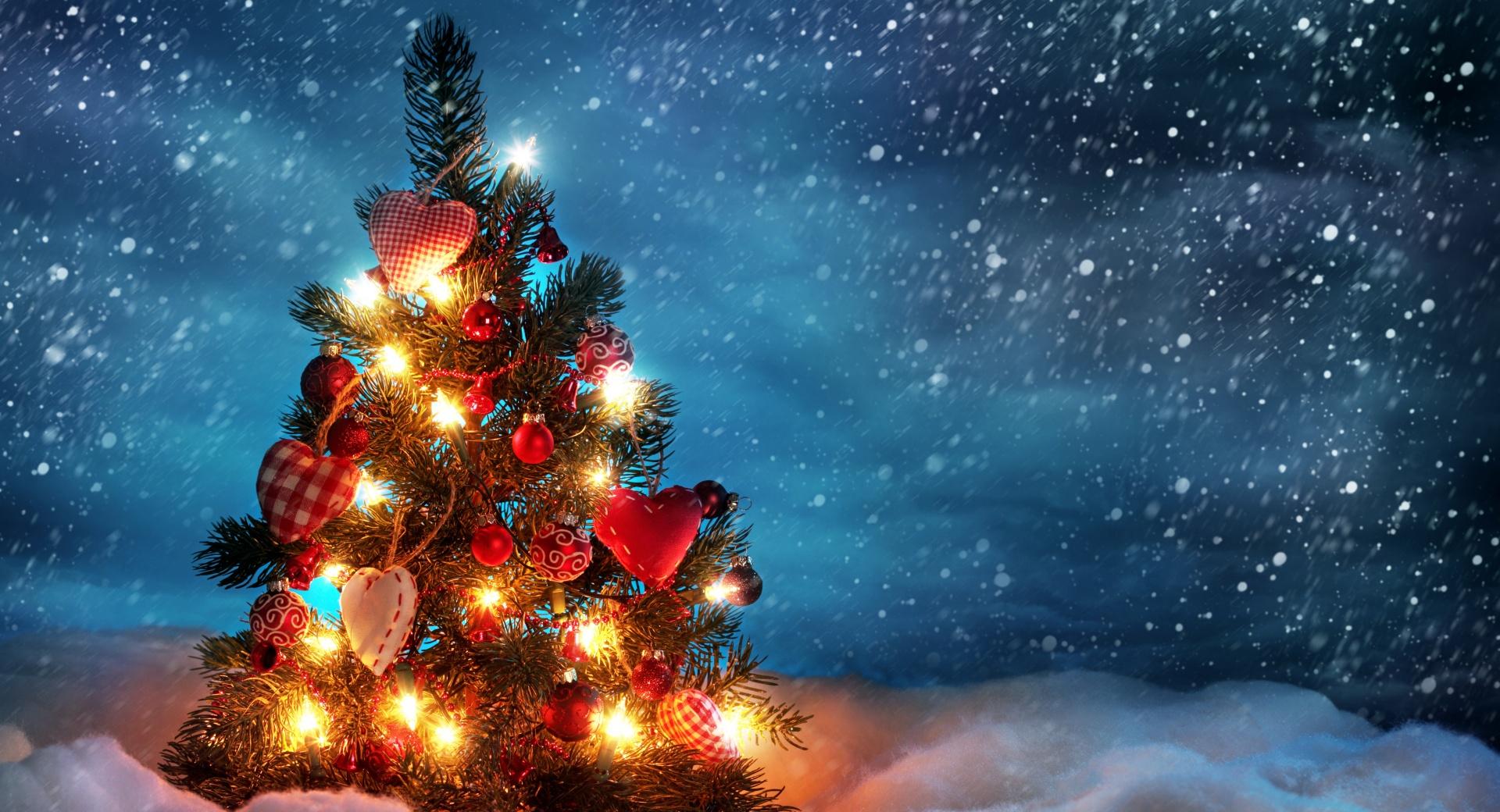 Christmas Tree at 1600 x 1200 size wallpapers HD quality