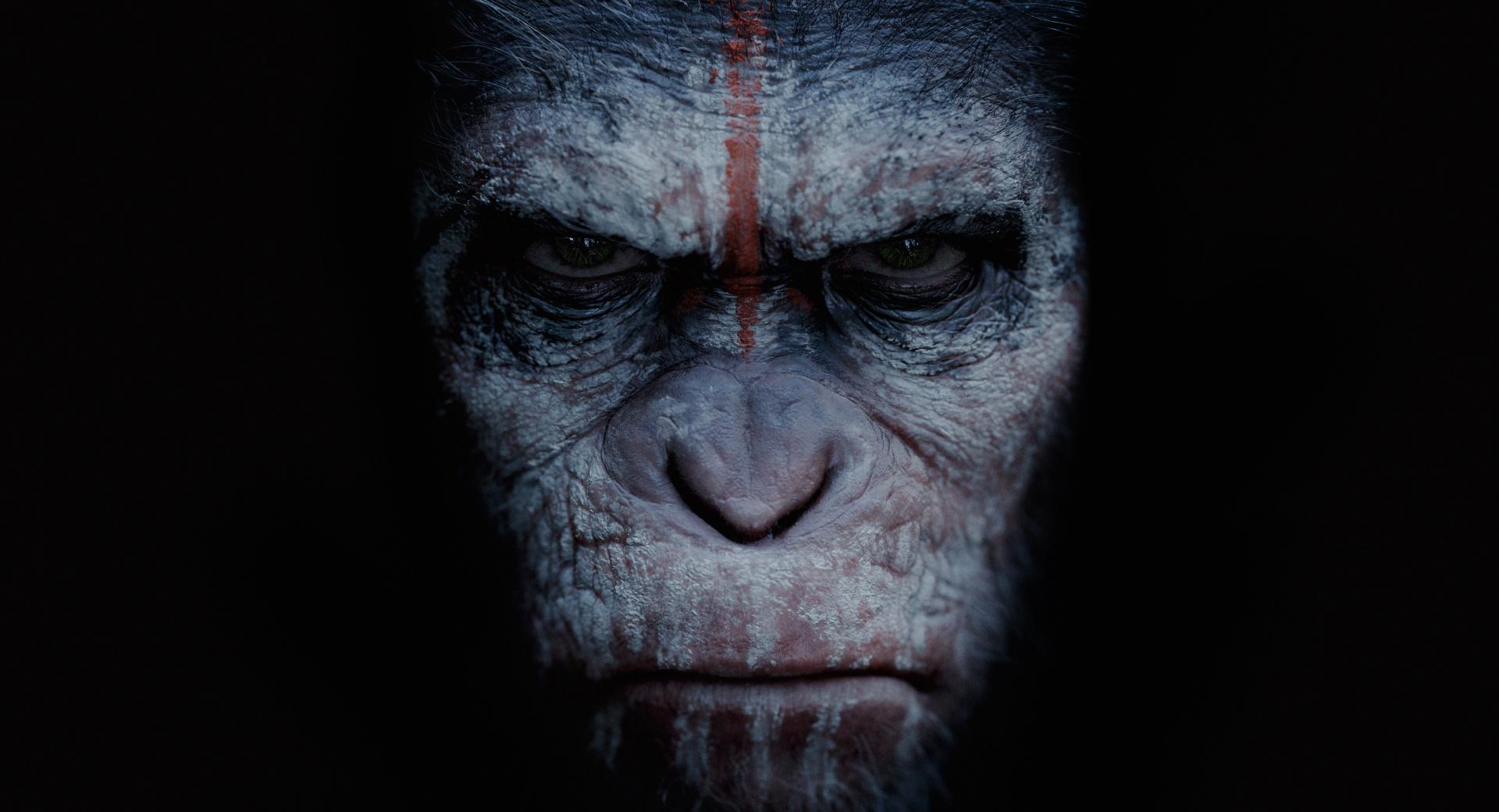 Dawn of the Planet of the Apes 2014 Movie at 640 x 960 iPhone 4 size wallpapers HD quality