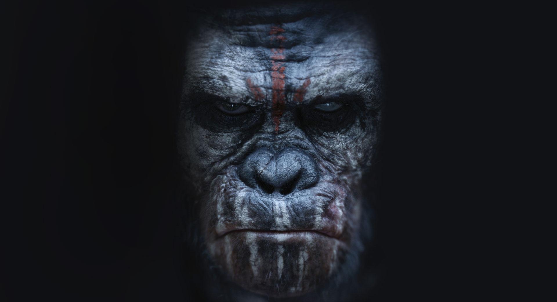 Dawn of the Planet of the Apes Koba at 1024 x 768 size wallpapers HD quality
