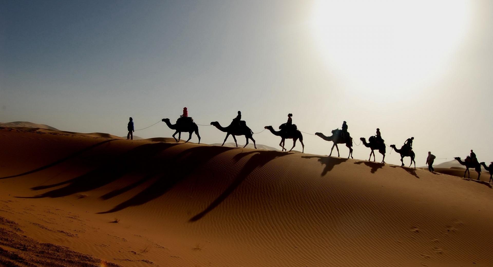Desert Caravan at 750 x 1334 iPhone 6 size wallpapers HD quality