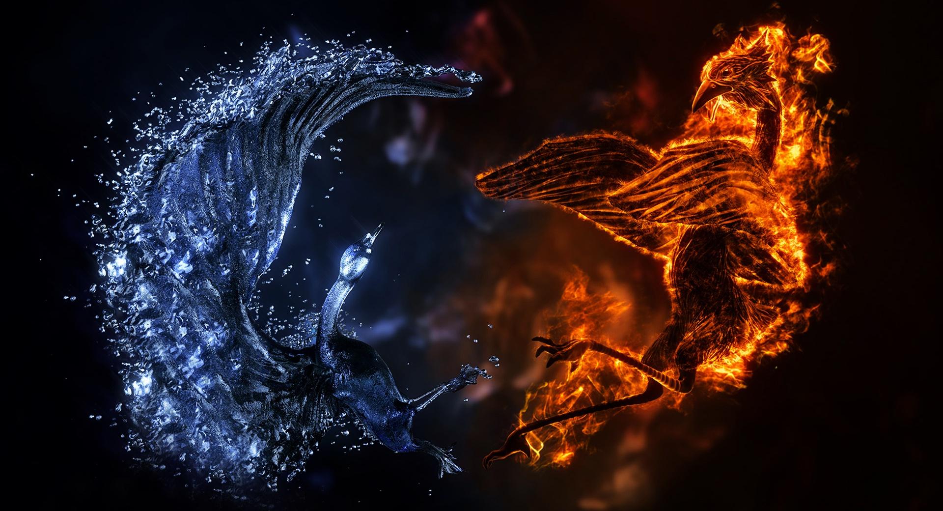 ELEMENTAL BIRDS at 1600 x 1200 size wallpapers HD quality