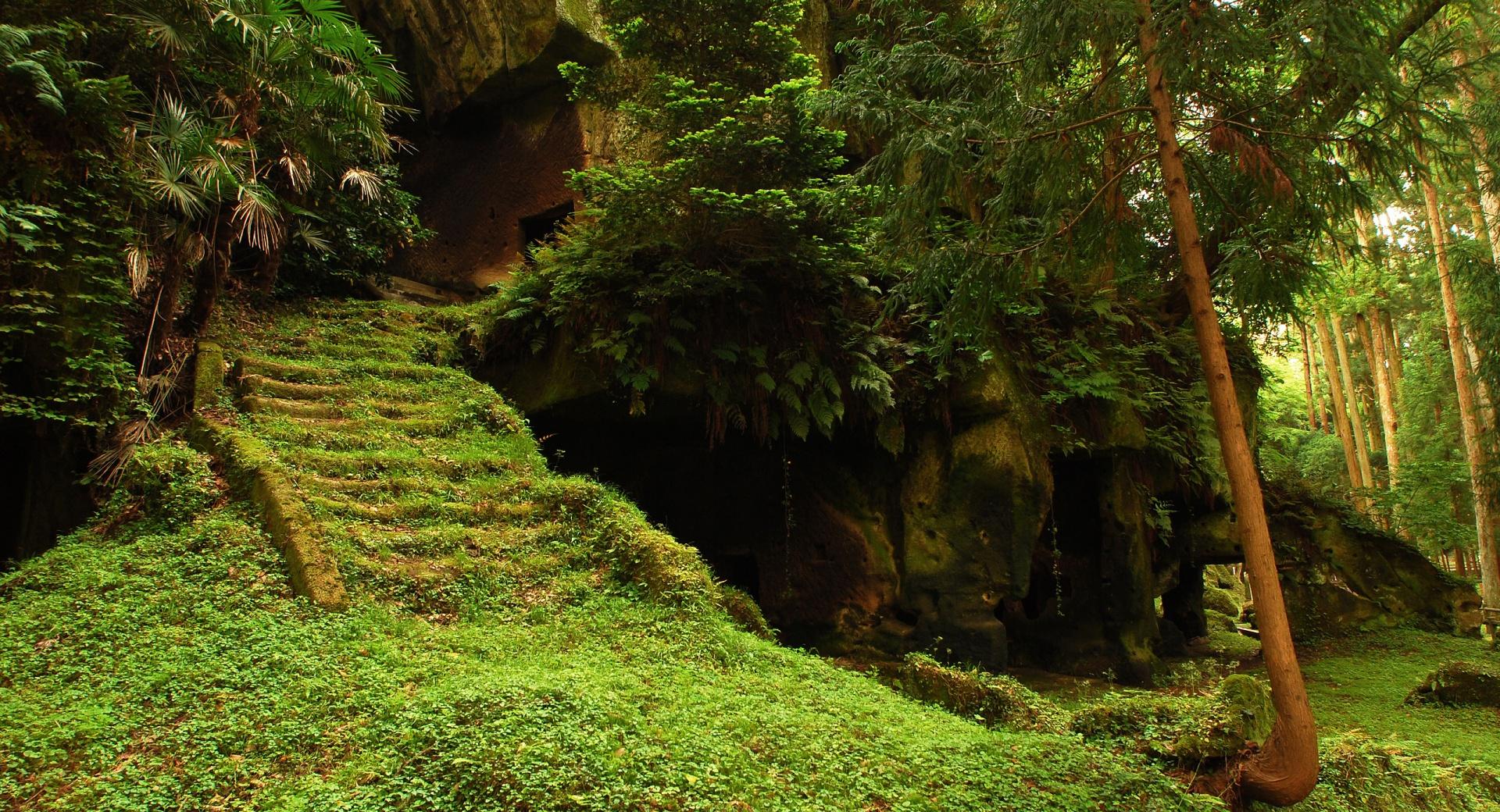 Forest Staircase Ruins at 640 x 1136 iPhone 5 size wallpapers HD quality
