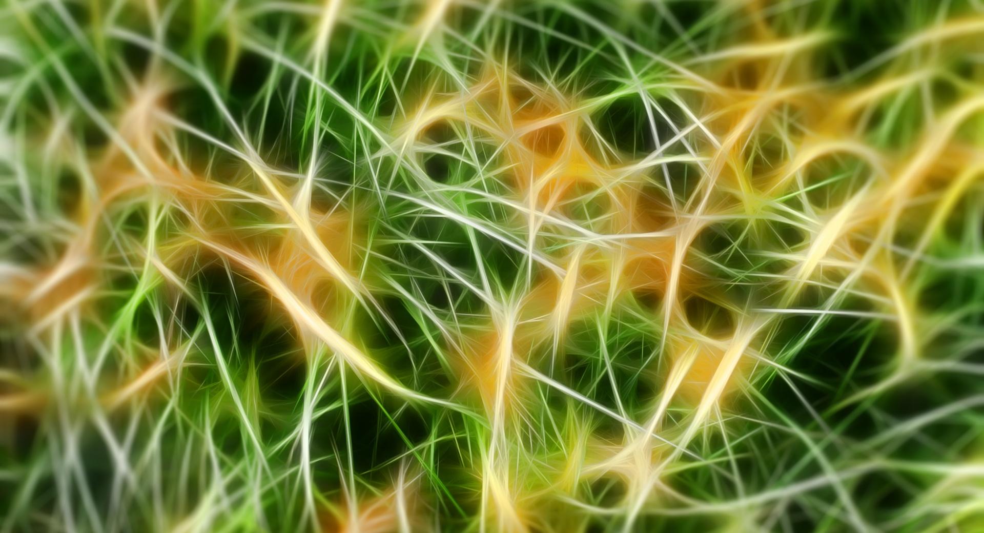 Fractal Texture Chaos at 1600 x 1200 size wallpapers HD quality