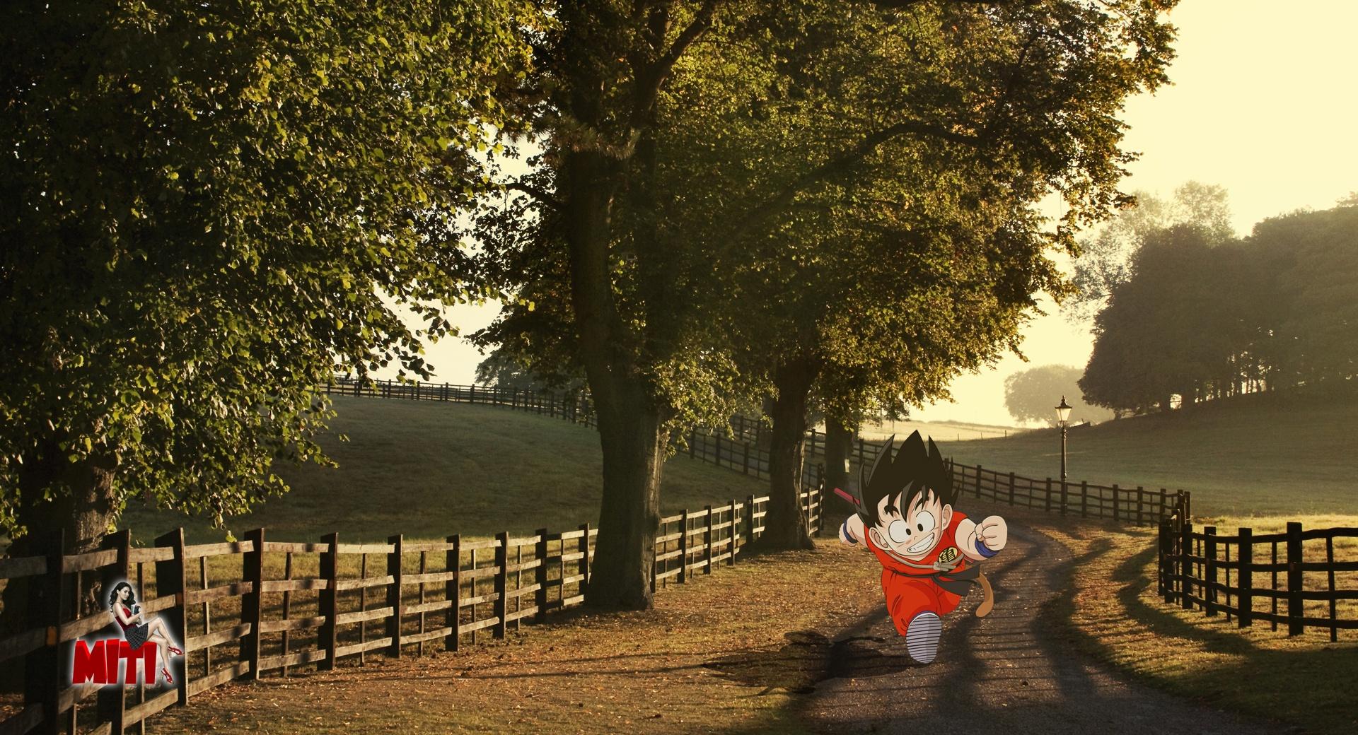 Goku Sunset at 1024 x 1024 iPad size wallpapers HD quality