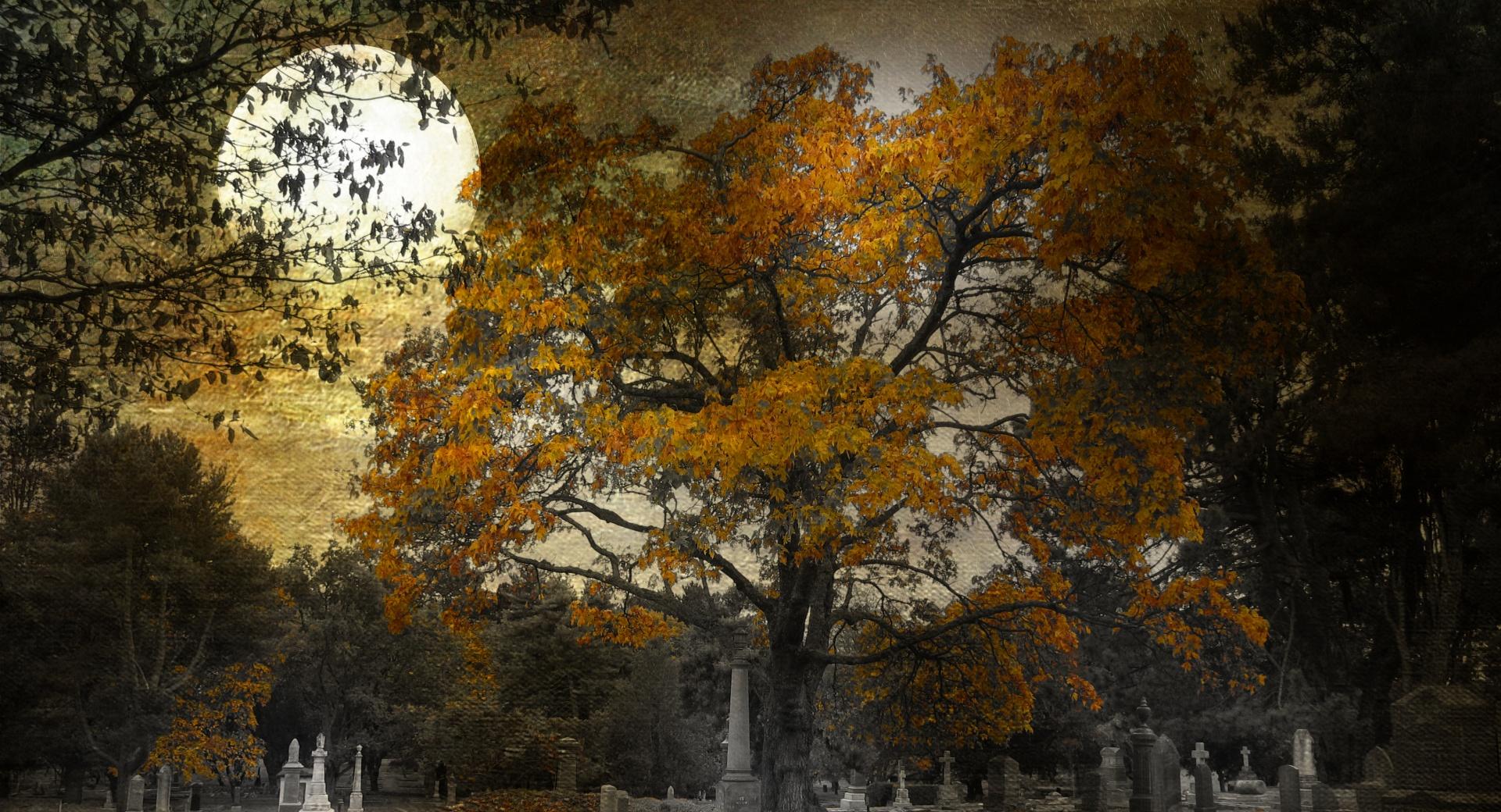 Halloween 2014 at 750 x 1334 iPhone 6 size wallpapers HD quality