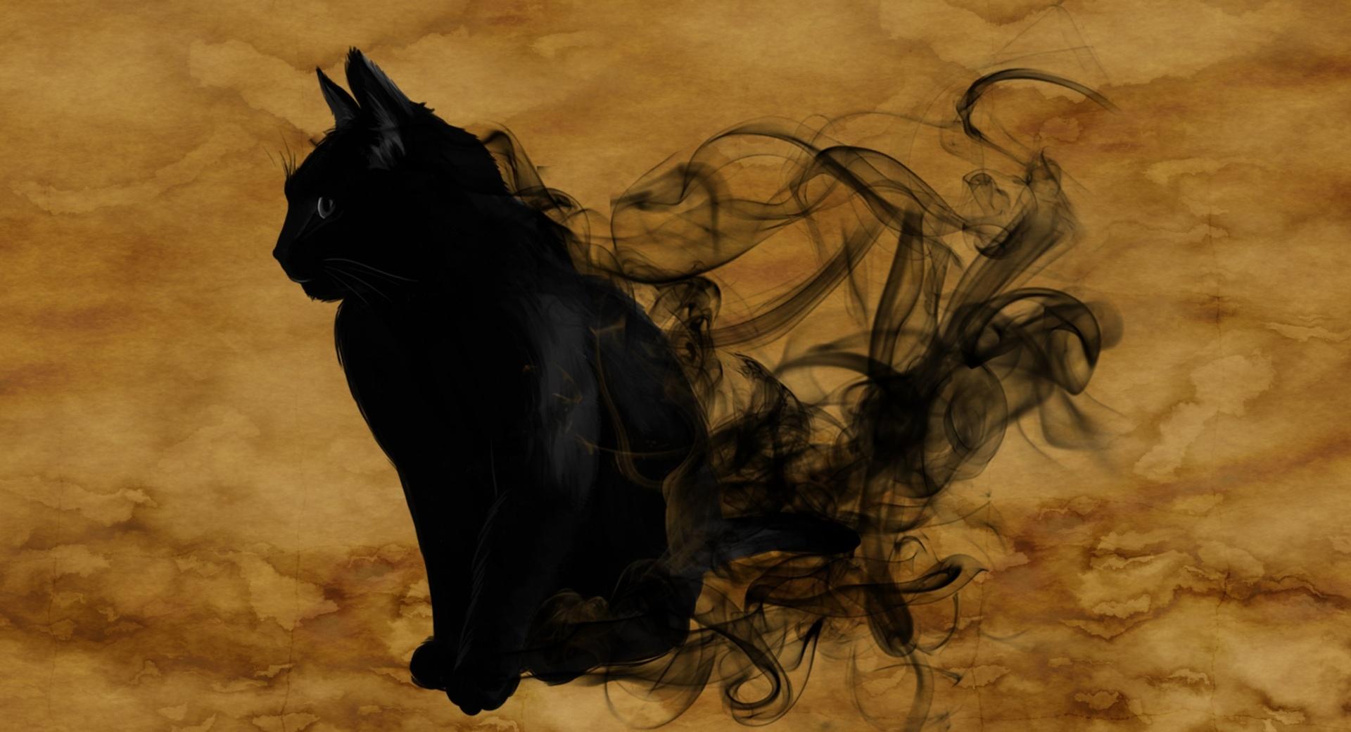 Halloween Black Cat wallpapers HD quality
