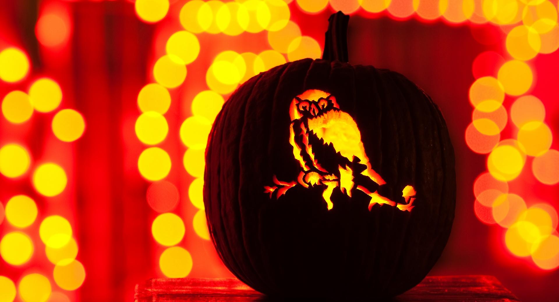 Halloween Bokeh at 1152 x 864 size wallpapers HD quality