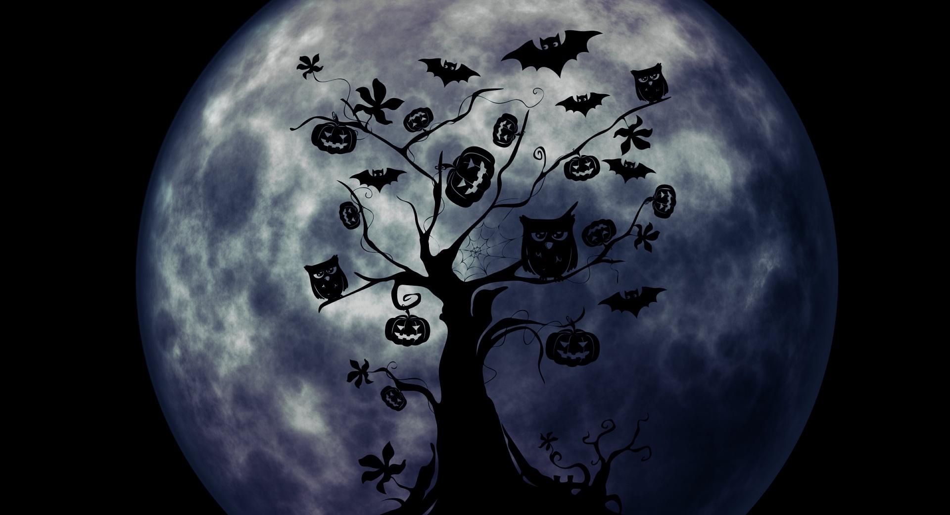 Halloween Owls and Bats at 1152 x 864 size wallpapers HD quality