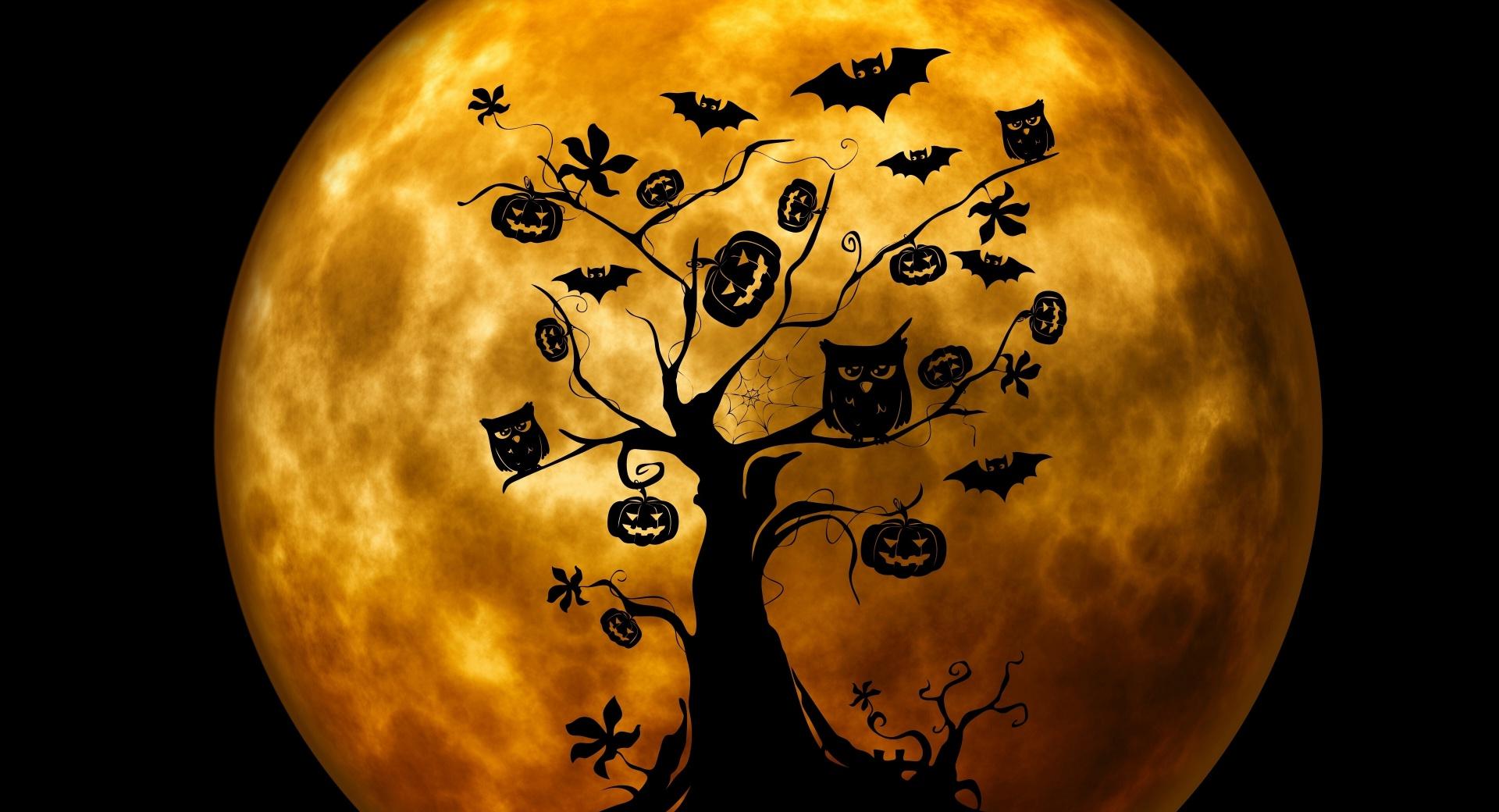 Halloween Owls and Bats Orange at 750 x 1334 iPhone 6 size wallpapers HD quality