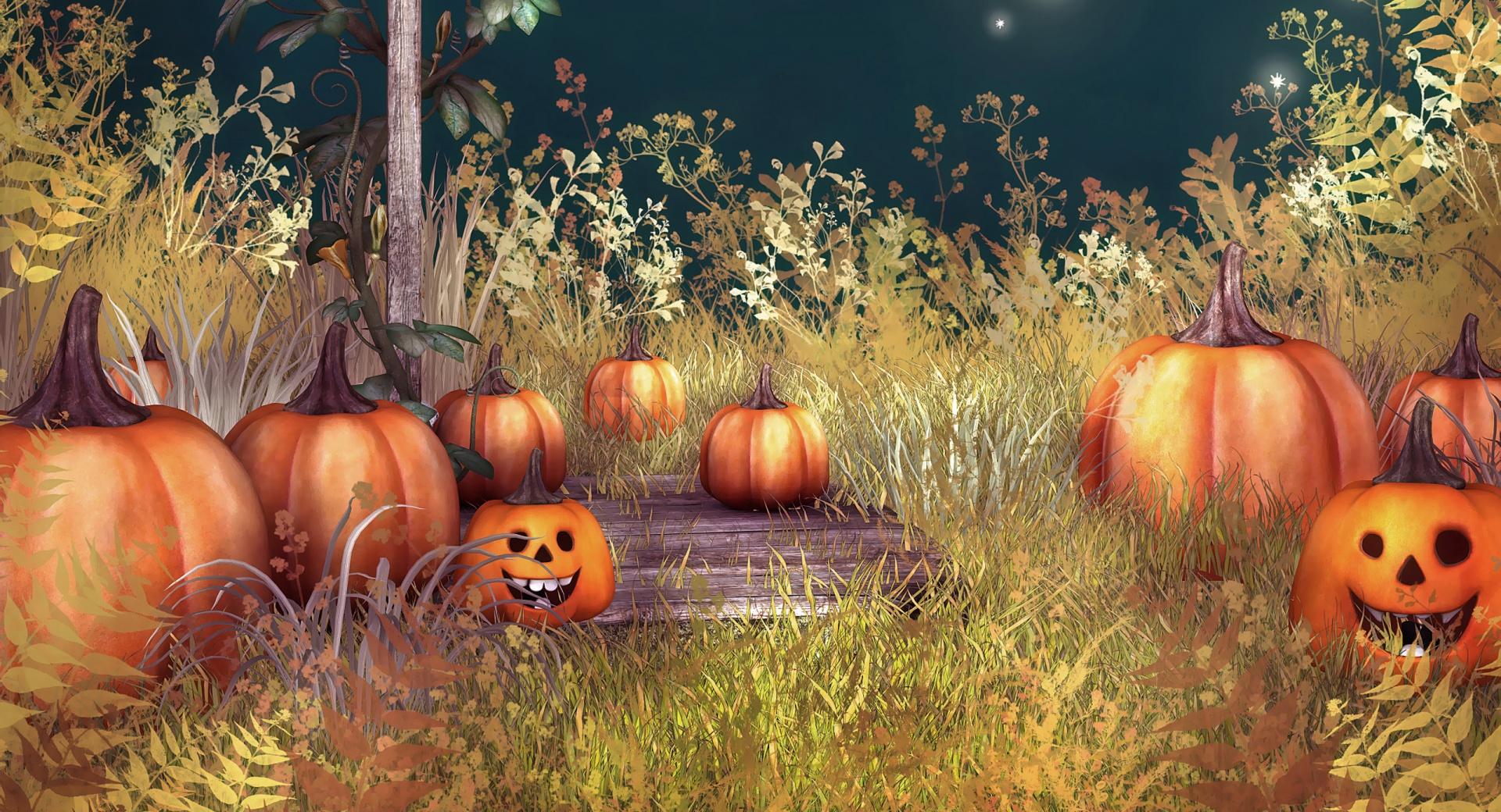 Halloween Pumpkins at 320 x 480 iPhone size wallpapers HD quality