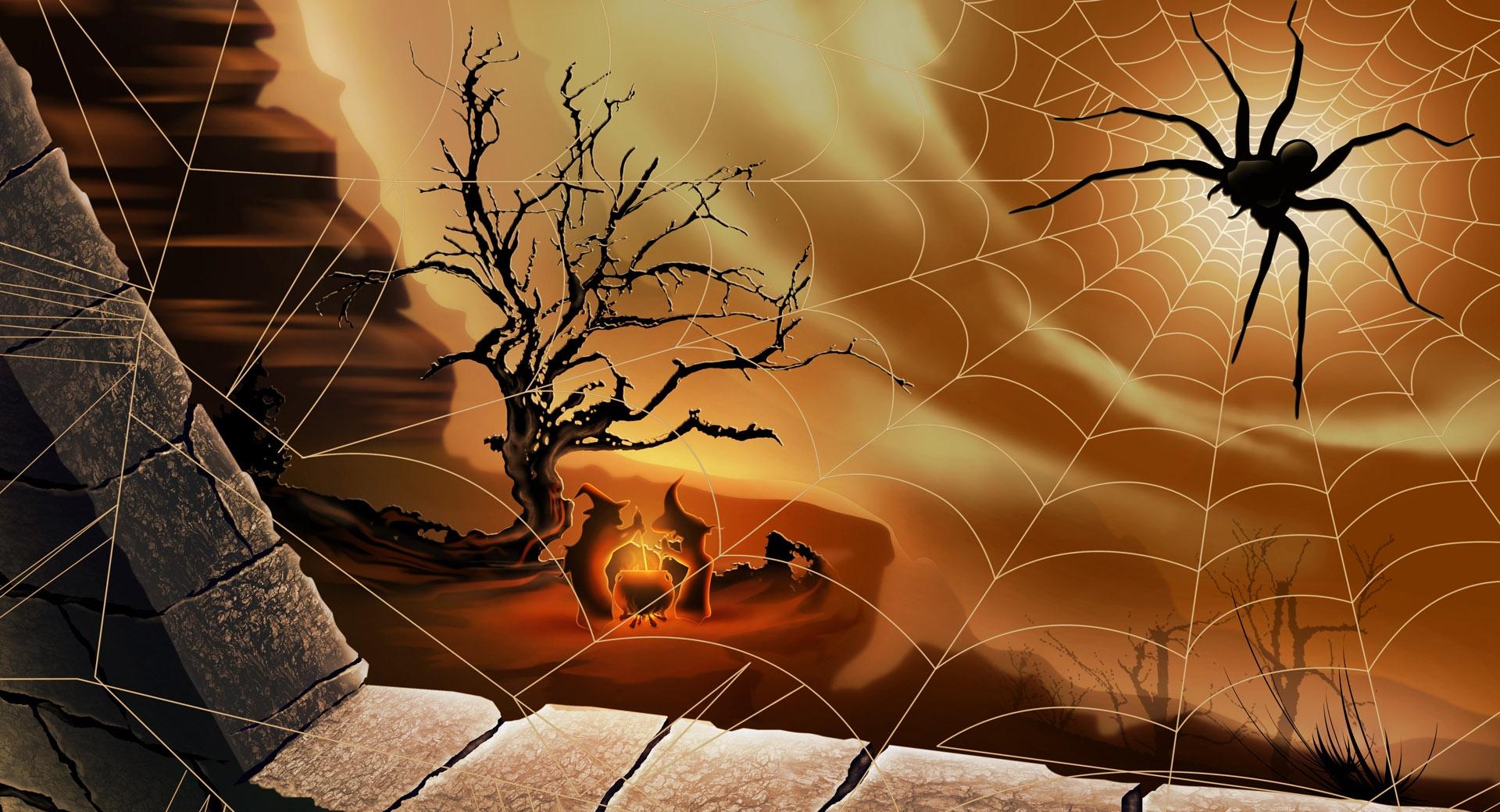 Halloween Spirit Spider Web Hallowmas at 1334 x 750 iPhone 7 size wallpapers HD quality