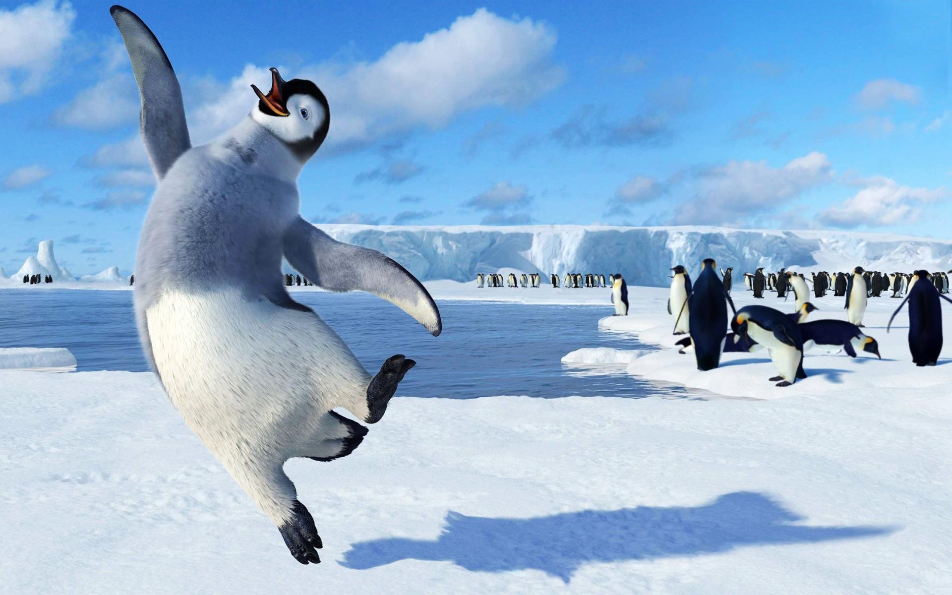 Happy Feet at 320 x 480 iPhone size wallpapers HD quality