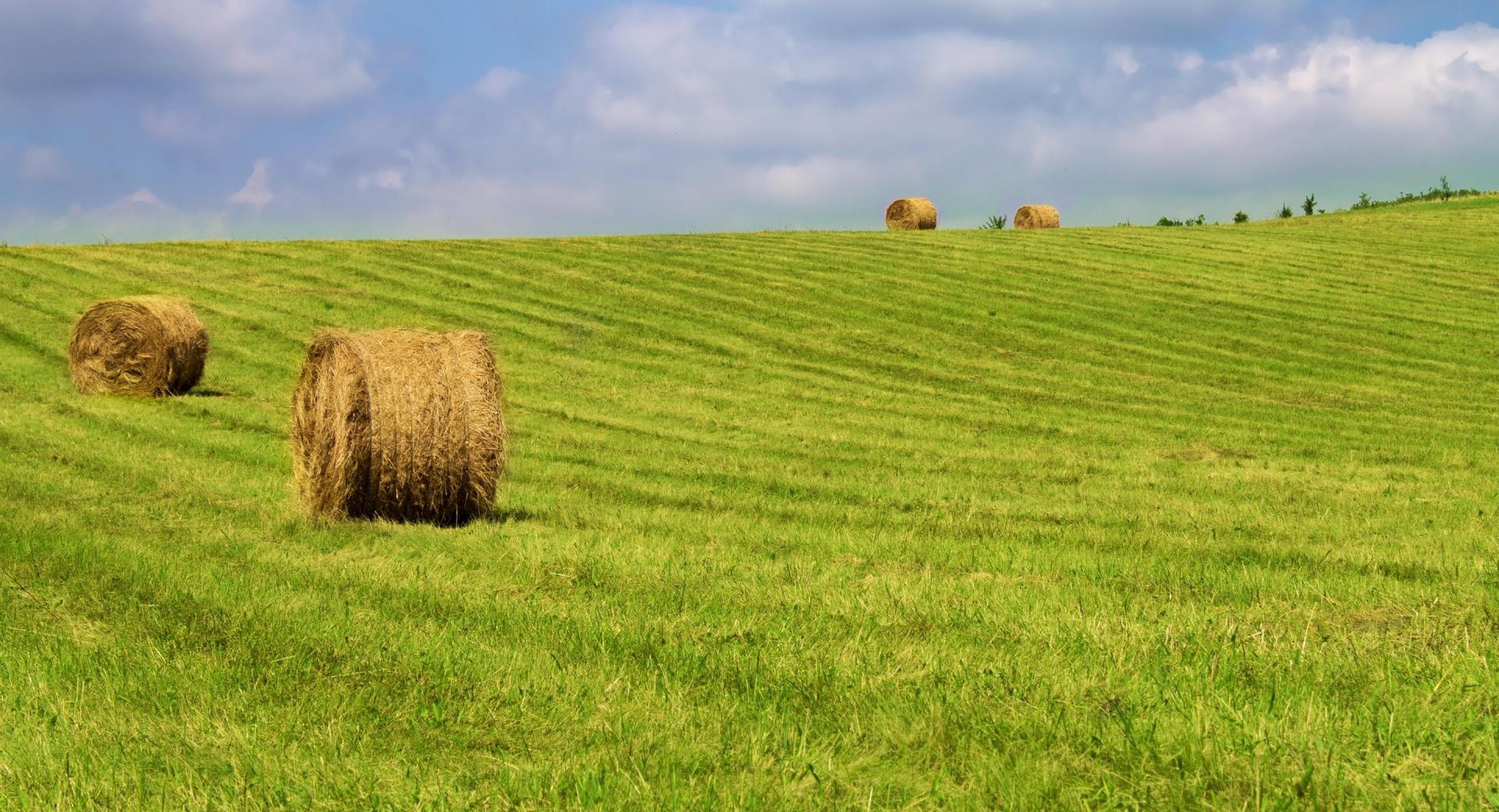Hay Bales On Green Grass at 750 x 1334 iPhone 6 size wallpapers HD quality