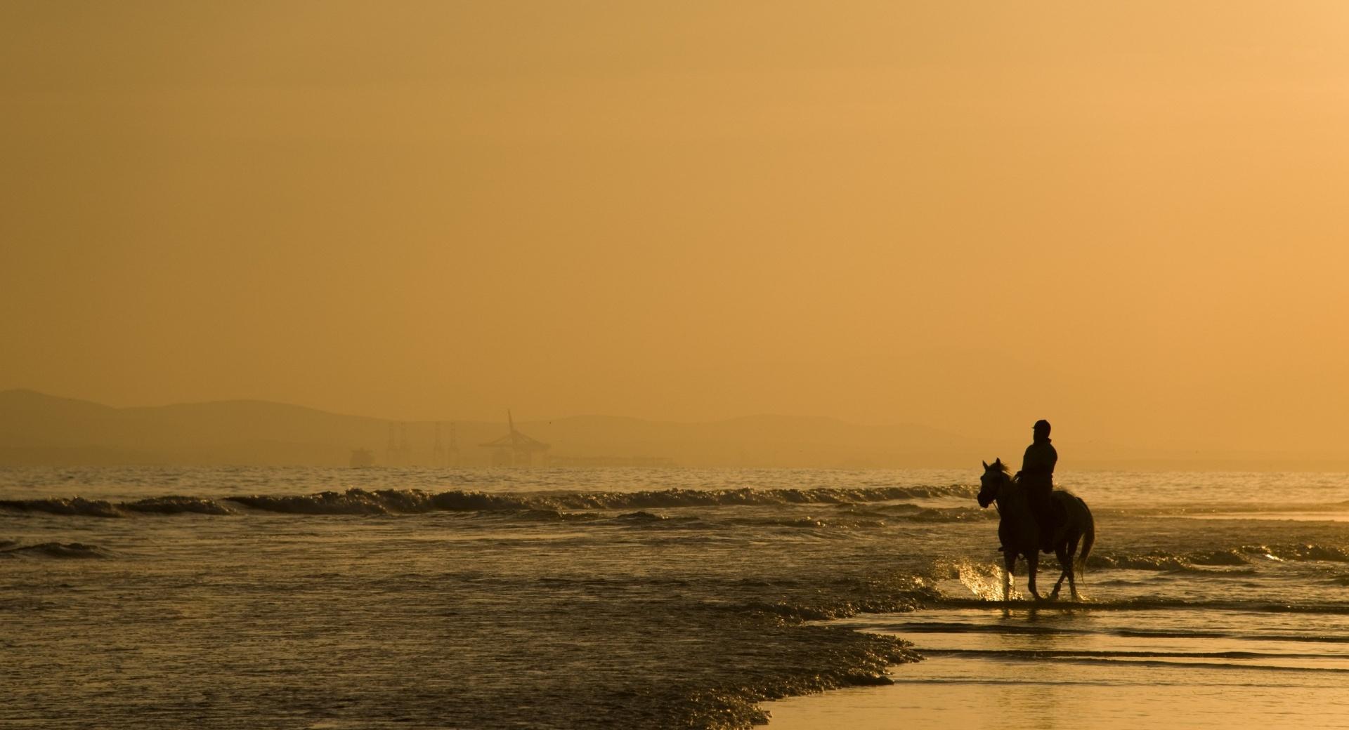 Horse Riding On The Beach at 1152 x 864 size wallpapers HD quality