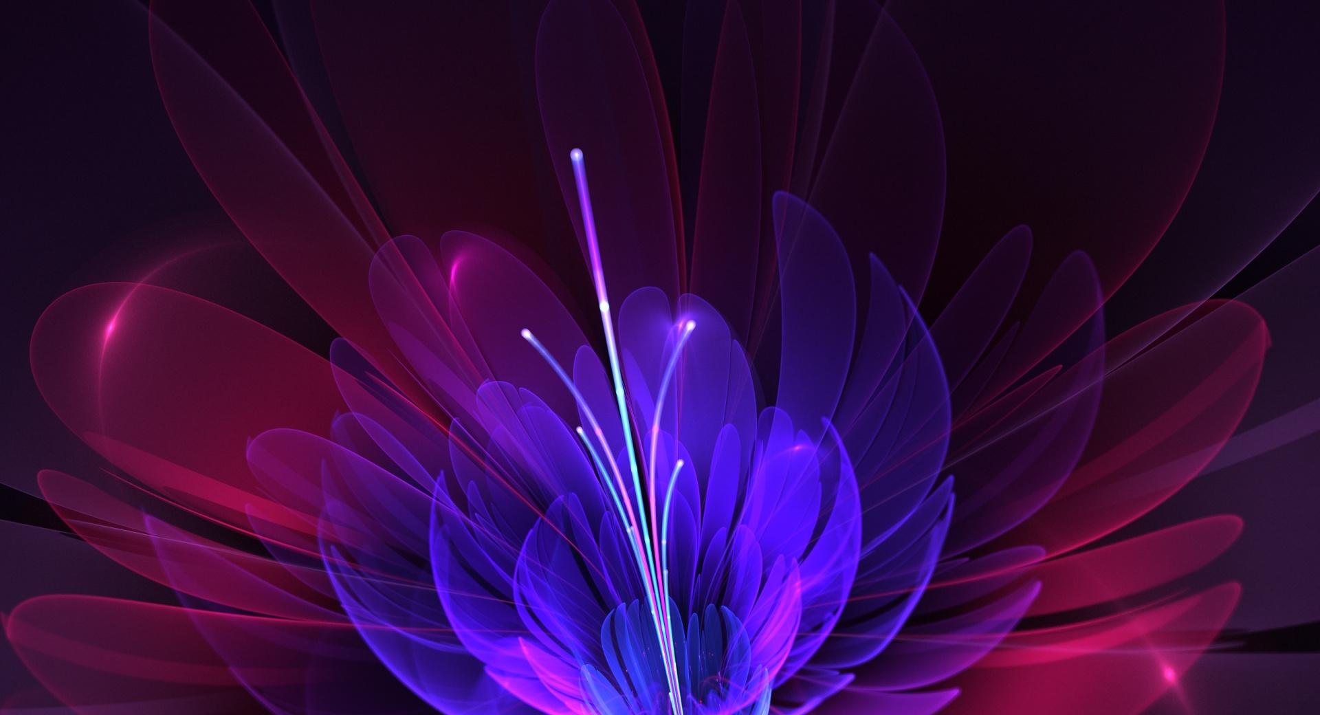 In Full Bloom at 640 x 1136 iPhone 5 size wallpapers HD quality