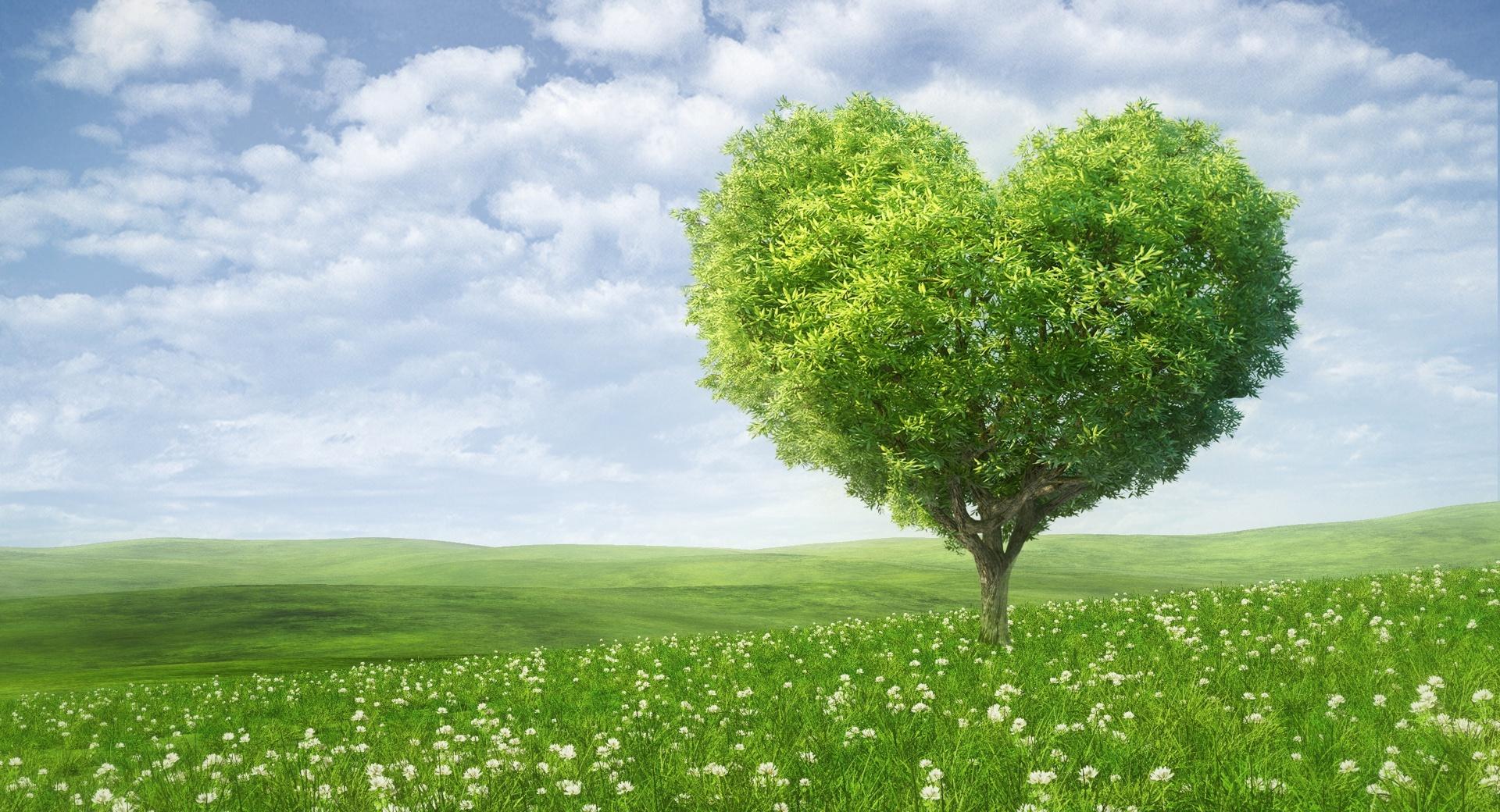 Love Tree wallpapers HD quality