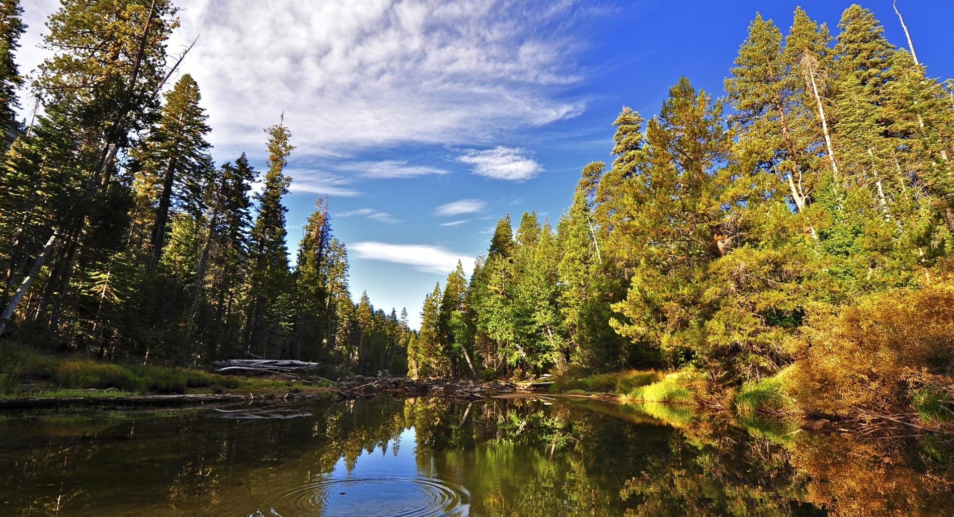 Merced River, Yosemite at 640 x 1136 iPhone 5 size wallpapers HD quality