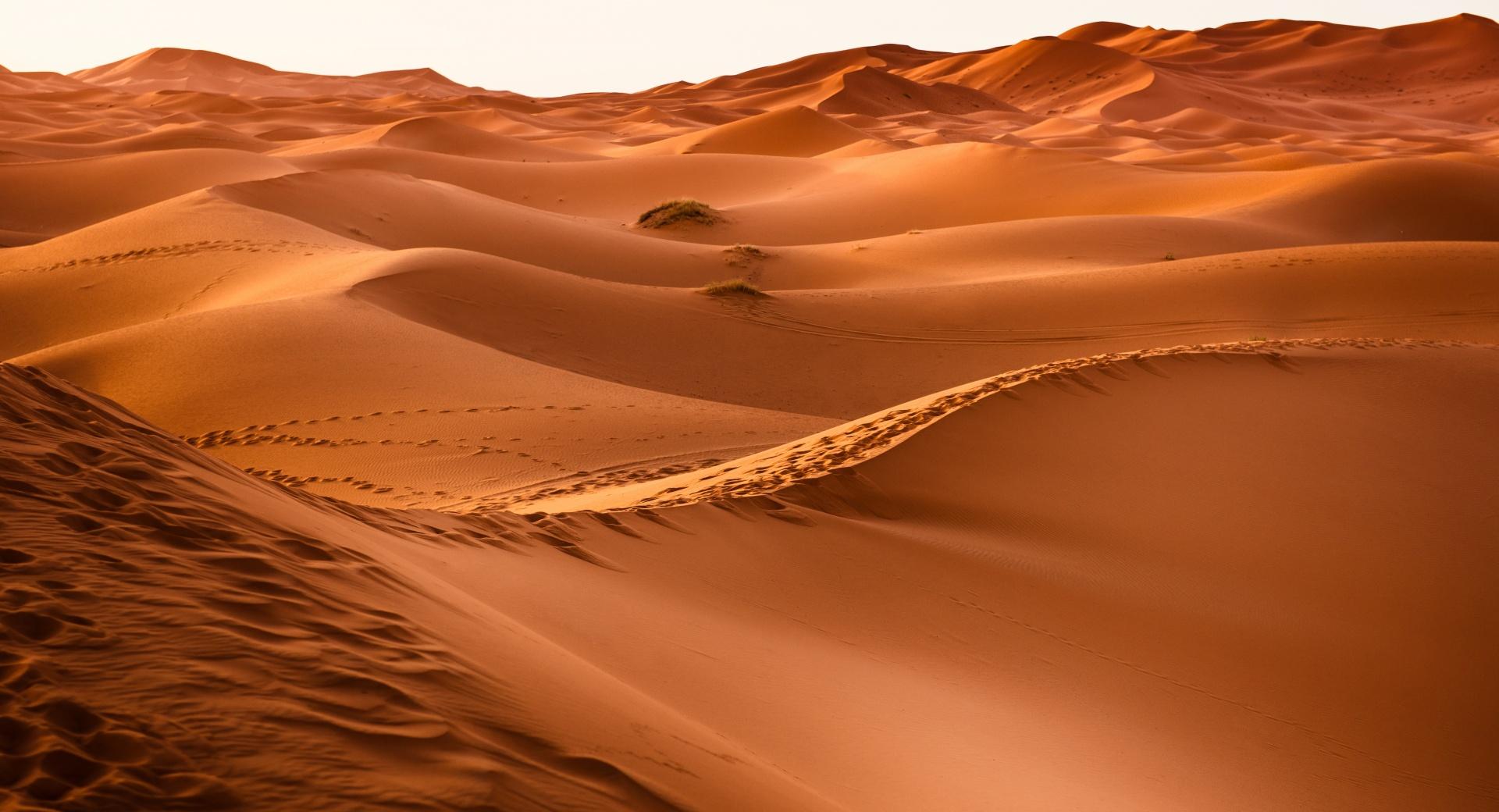 Morocco Desert at 750 x 1334 iPhone 6 size wallpapers HD quality