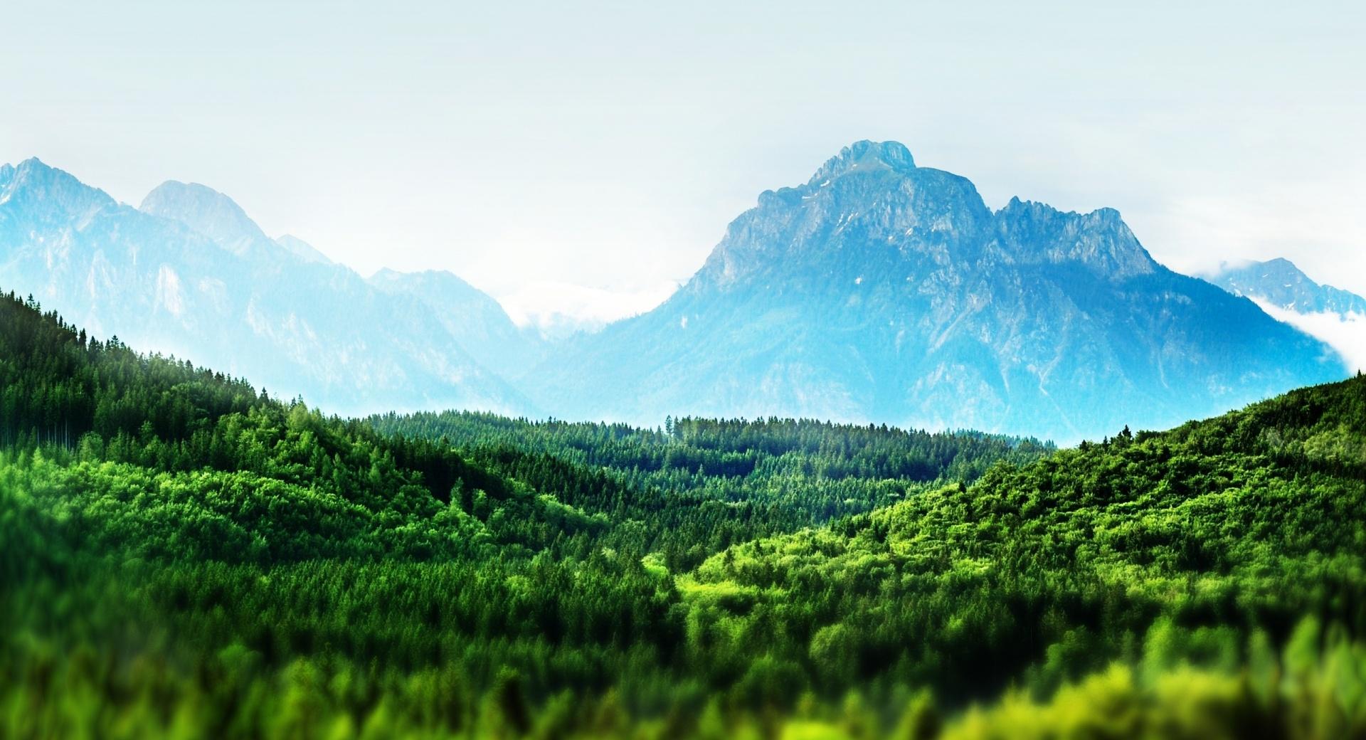 Mountain Forest Tilt-Shift wallpapers HD quality
