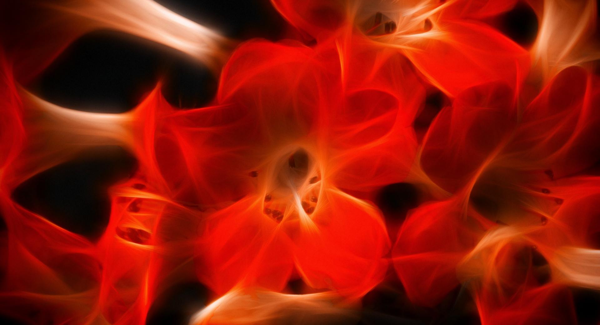 Mystic Flower at 320 x 480 iPhone size wallpapers HD quality