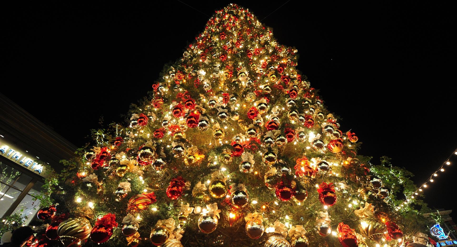 New Year Tree 2014 at 1600 x 1200 size wallpapers HD quality