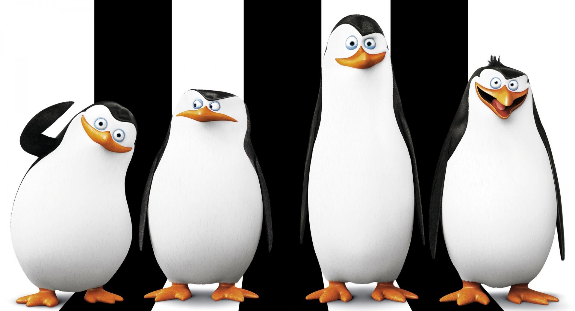 Penguins of Madagascar 2014 at 320 x 480 iPhone size wallpapers HD quality