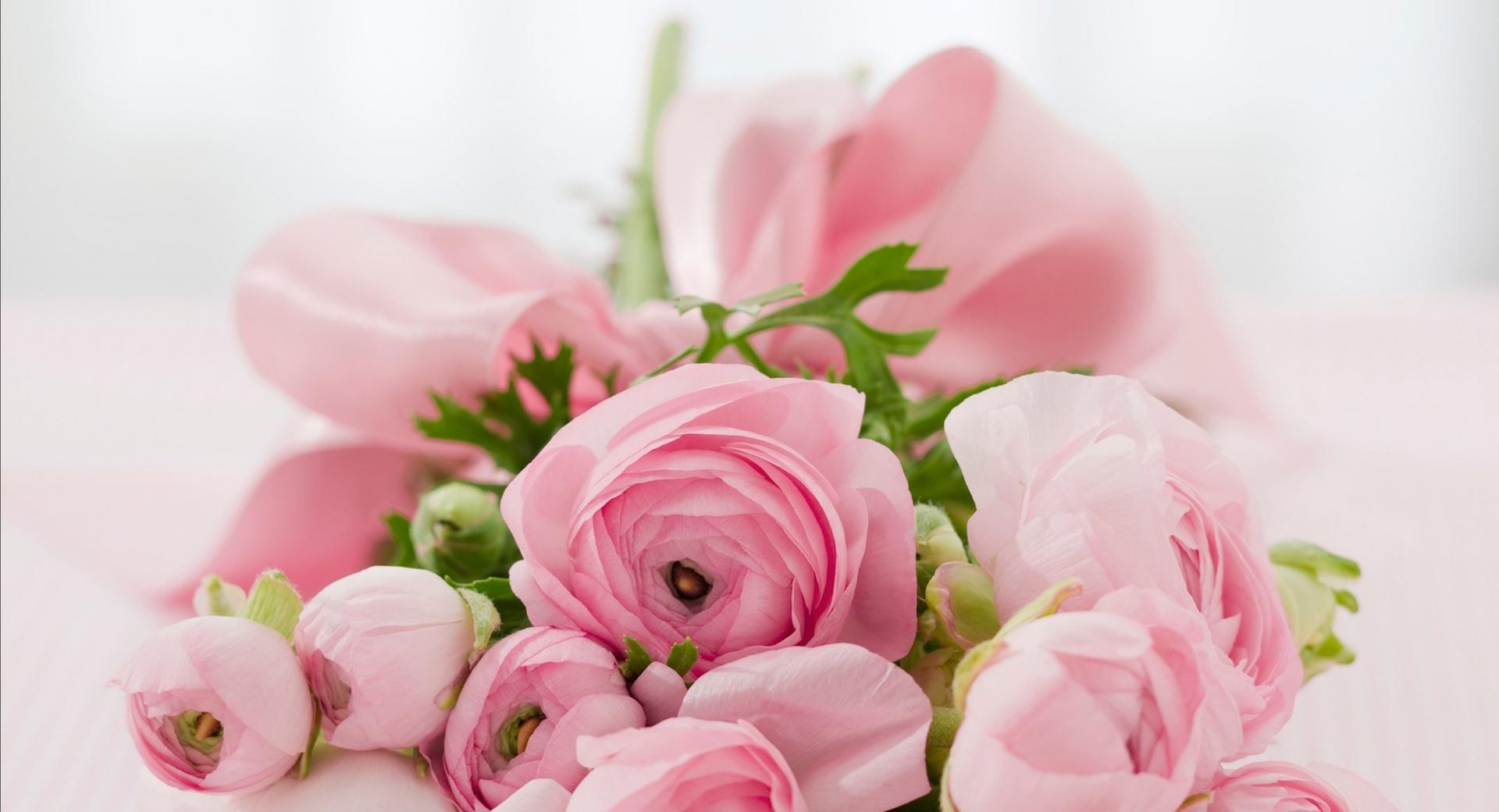 Pink Flowers Bridal Bouquet wallpapers HD quality