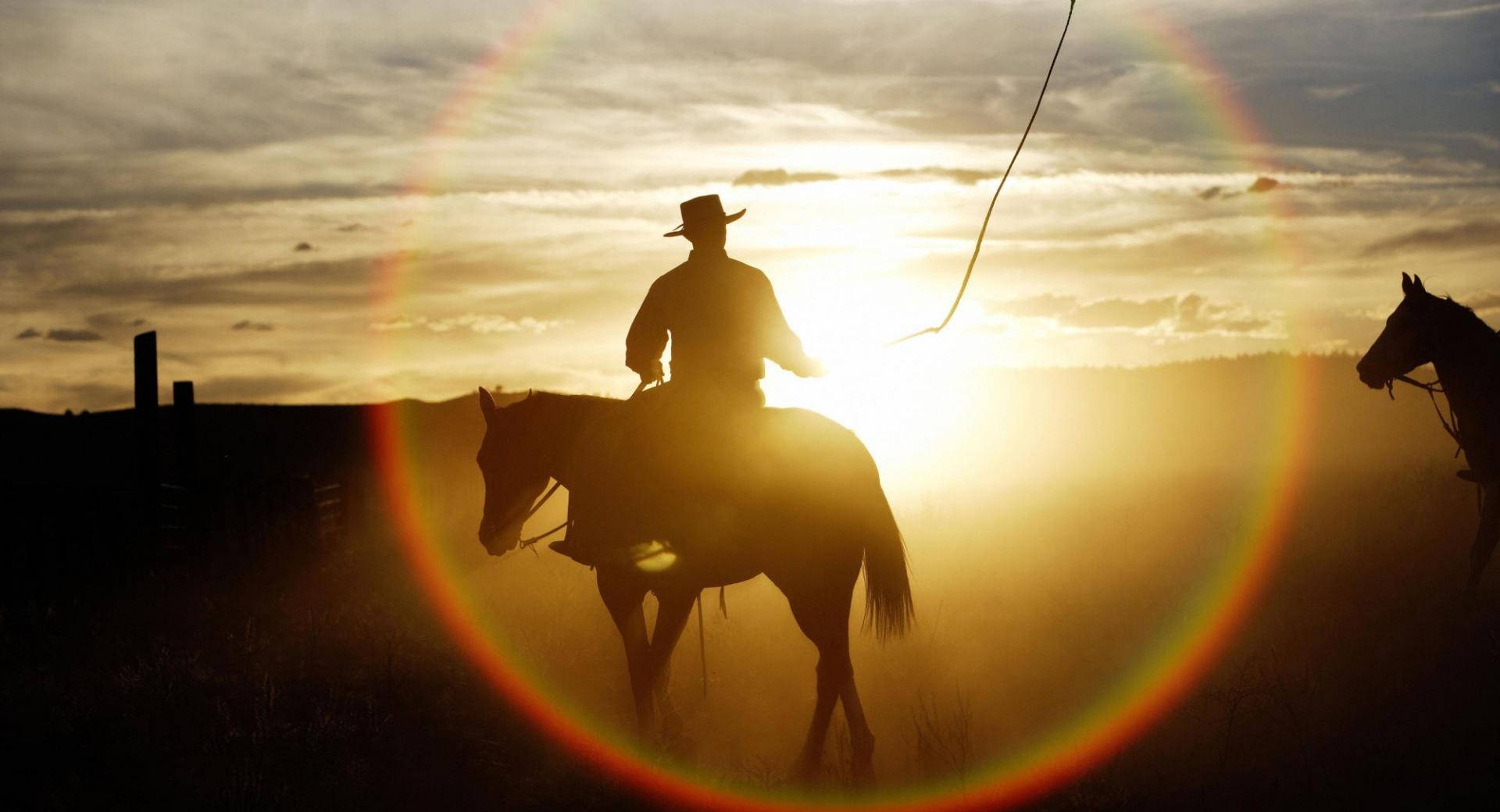 Quarter Horse Ponderosa Ranch Seneca Oregon at 640 x 960 iPhone 4 size wallpapers HD quality