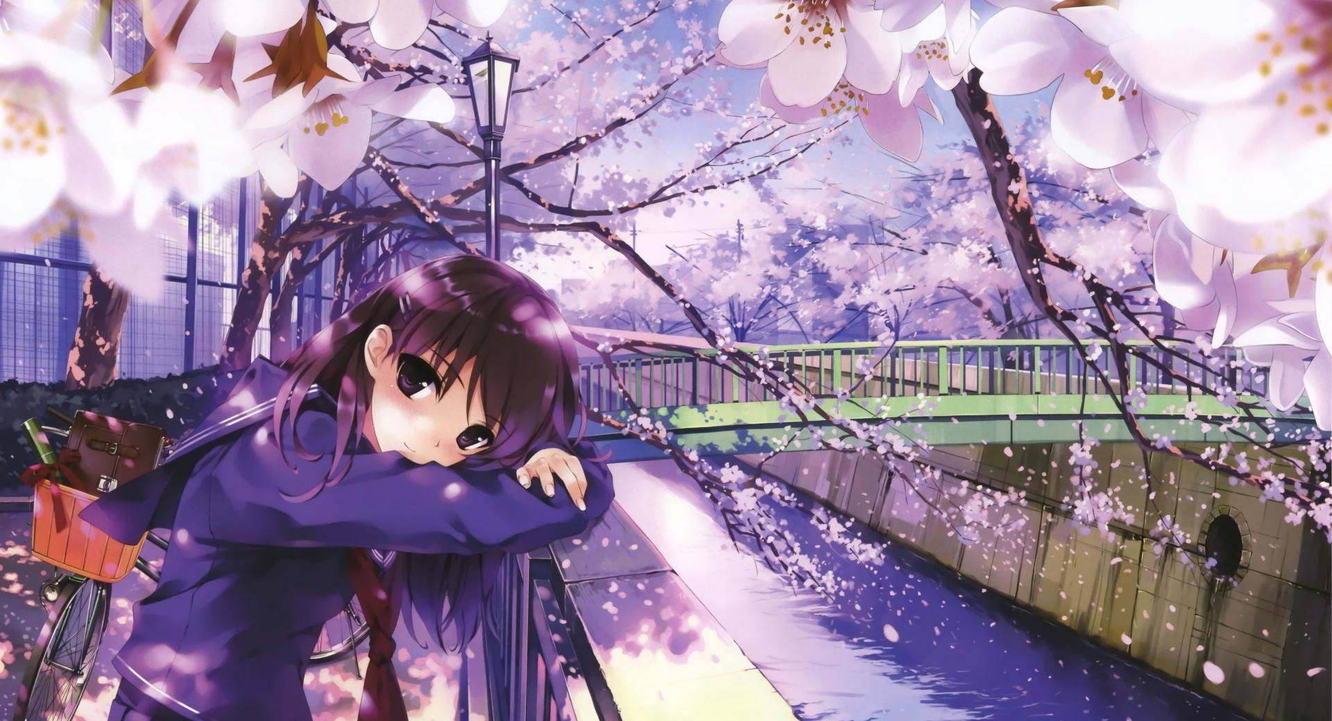 Sakura Spring at 1024 x 768 size wallpapers HD quality
