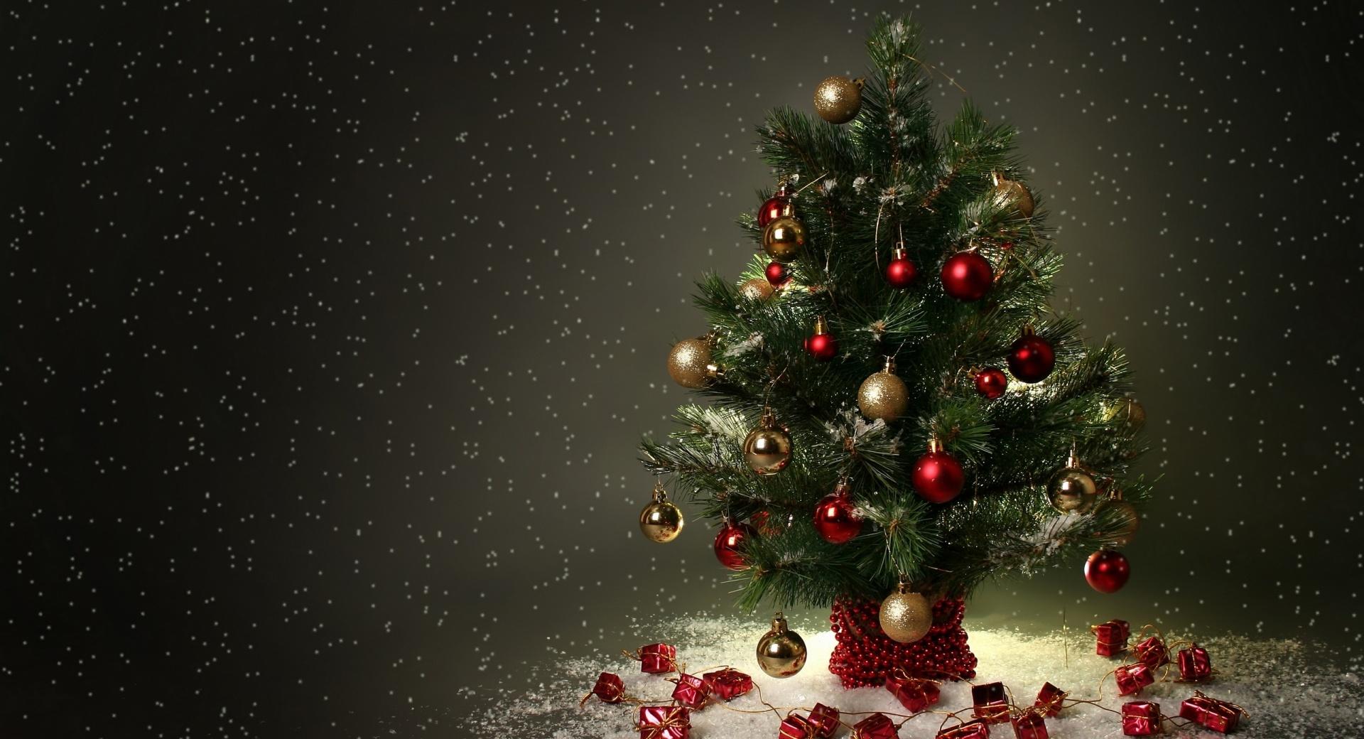 Small Christmas Tree at 640 x 960 iPhone 4 size wallpapers HD quality