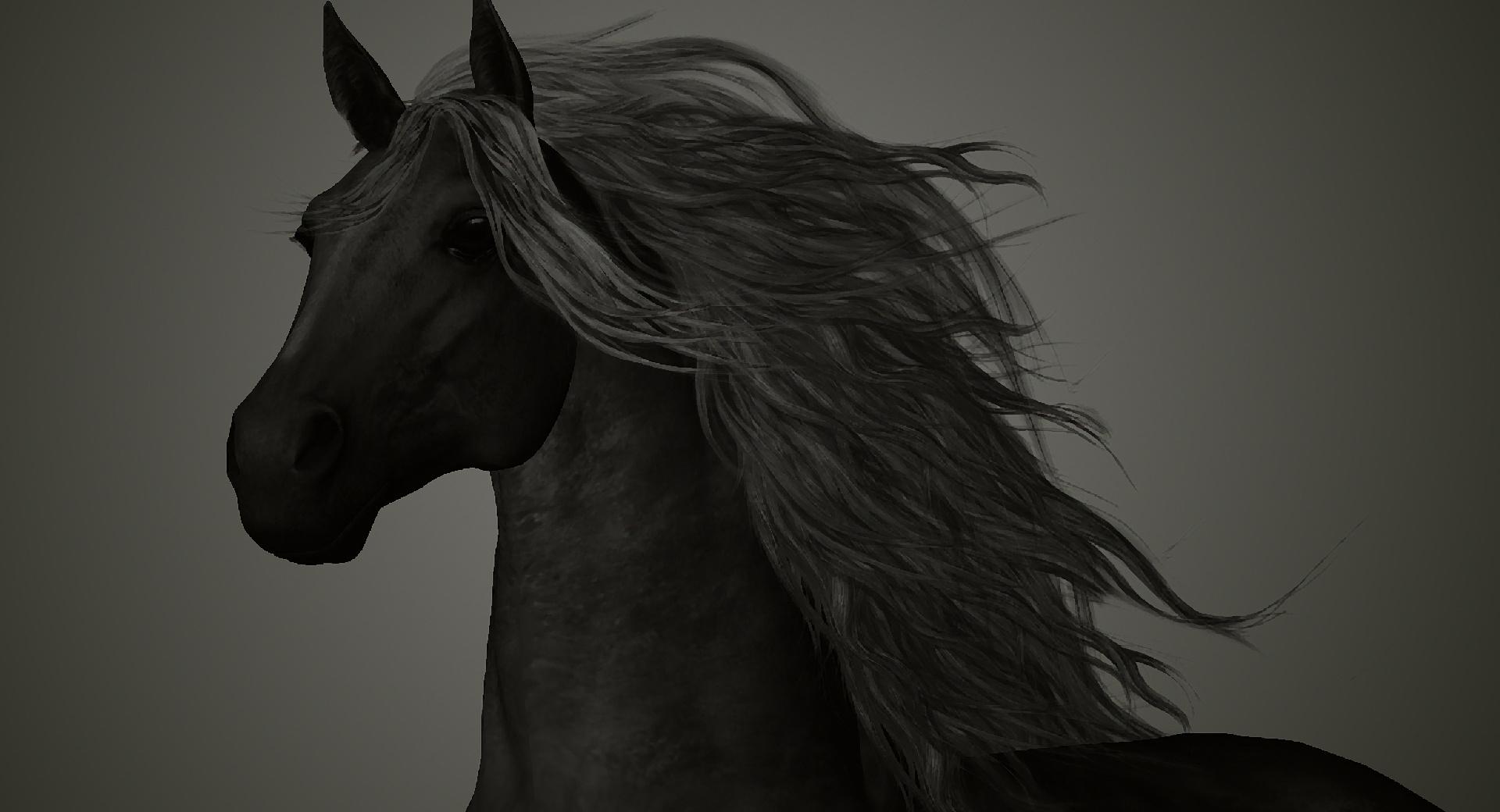 The Black Horse wallpapers HD quality