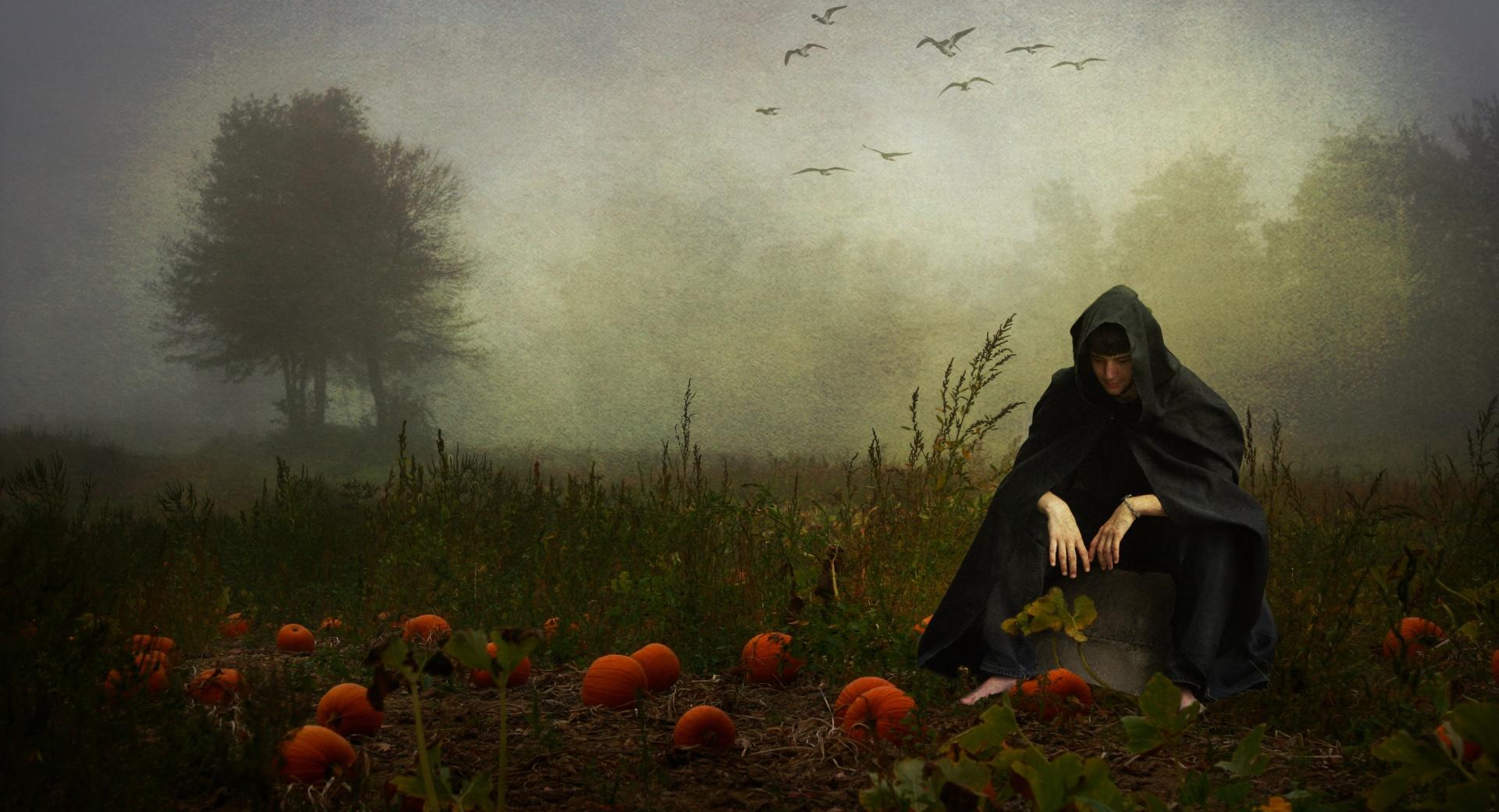 The Pumpkin Whisperer at 640 x 1136 iPhone 5 size wallpapers HD quality