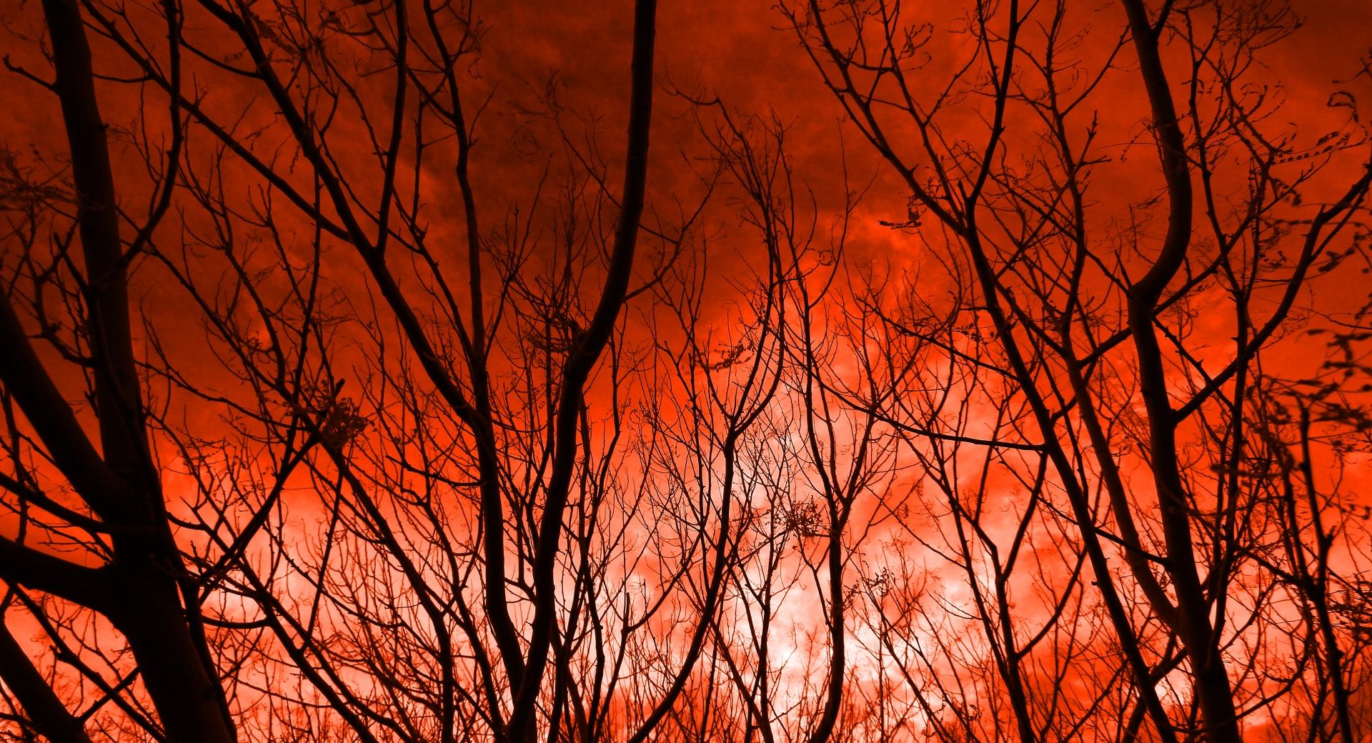 The Sky Caught Fire at 1600 x 1200 size wallpapers HD quality